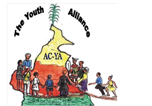 Alliance for youths